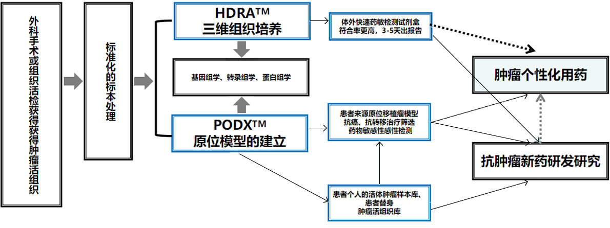 安泰康是美国